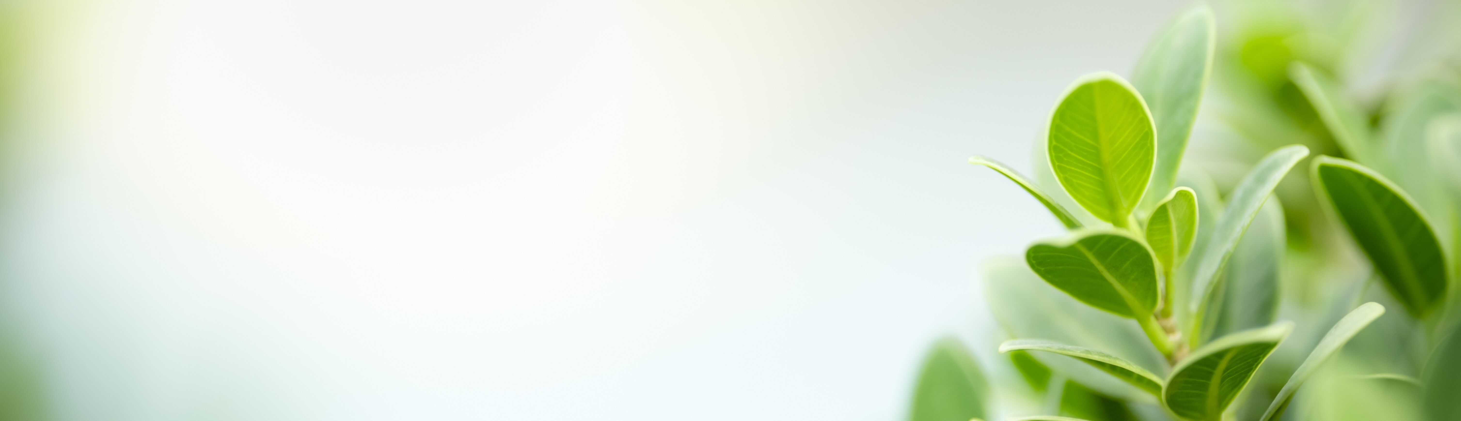 shutterstock_1657939621